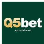 Q5Bet Game